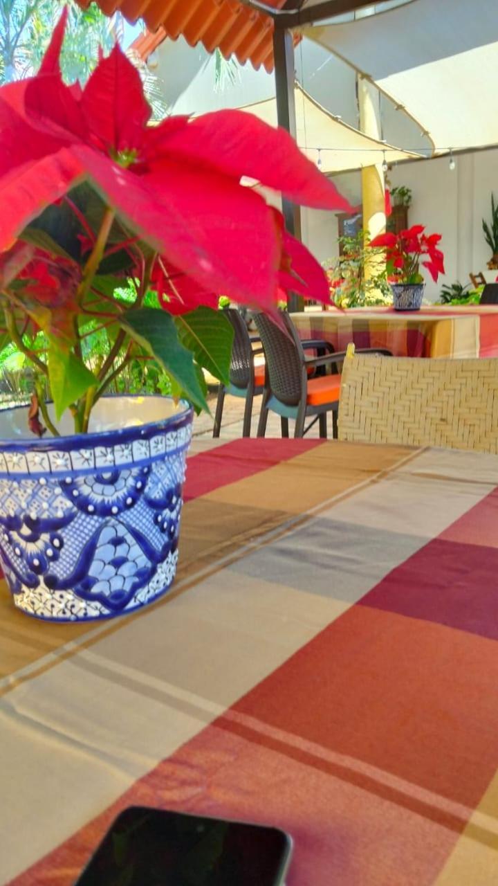 Bed and Breakfast Quinta Rosita Тикуль Экстерьер фото