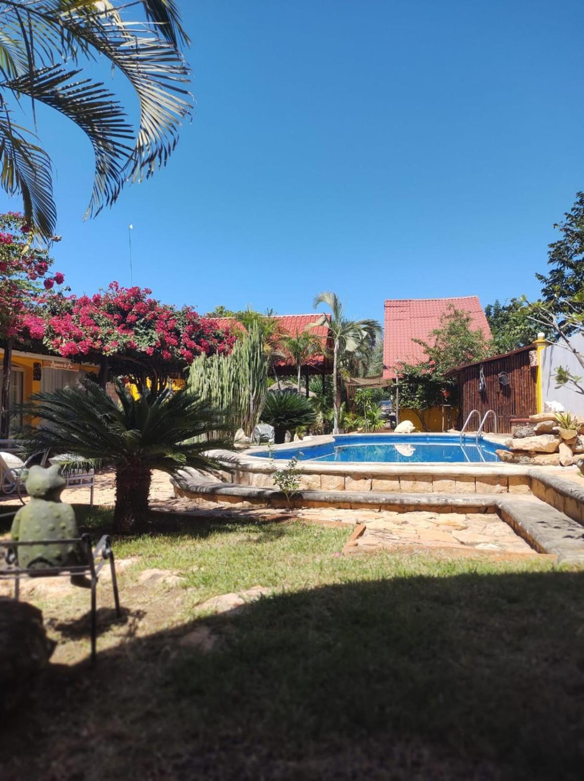 Bed and Breakfast Quinta Rosita Тикуль Экстерьер фото