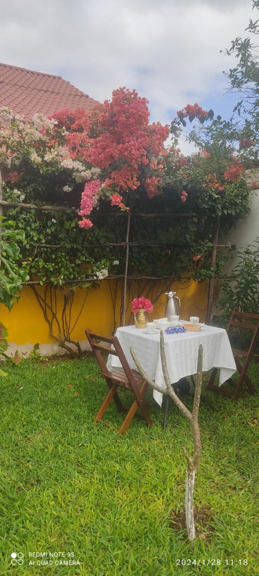 Bed and Breakfast Quinta Rosita Тикуль Экстерьер фото