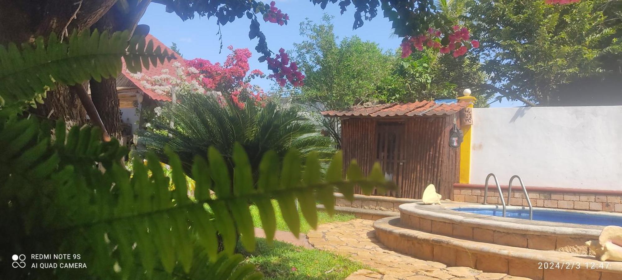 Bed and Breakfast Quinta Rosita Тикуль Экстерьер фото