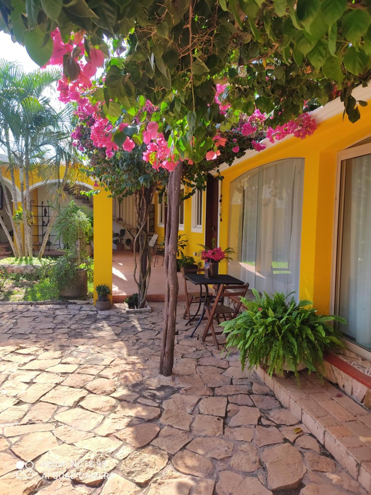 Bed and Breakfast Quinta Rosita Тикуль Экстерьер фото