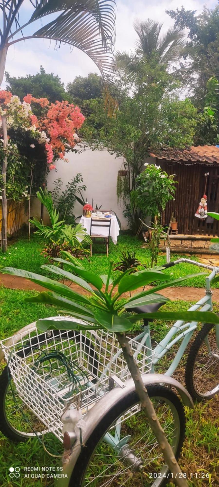 Bed and Breakfast Quinta Rosita Тикуль Экстерьер фото