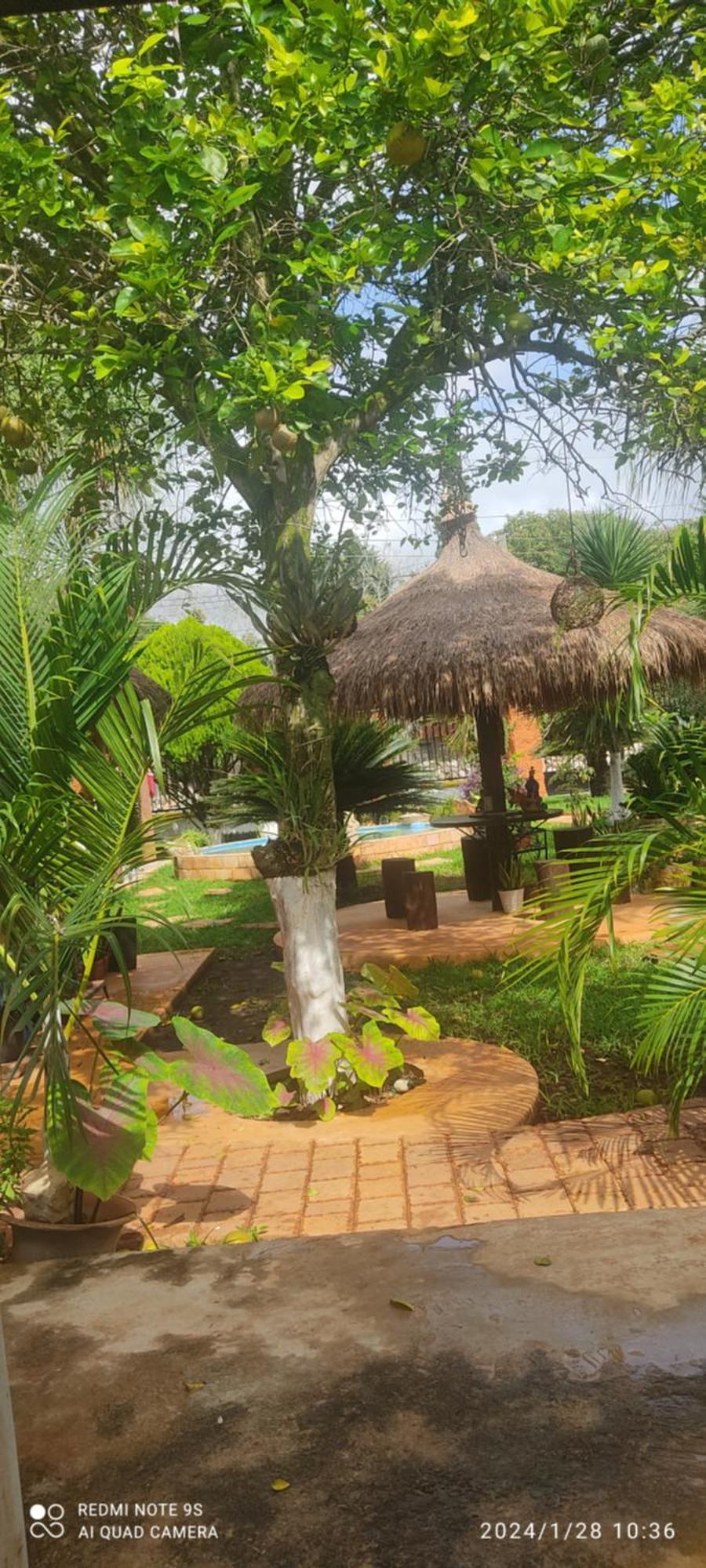 Bed and Breakfast Quinta Rosita Тикуль Экстерьер фото