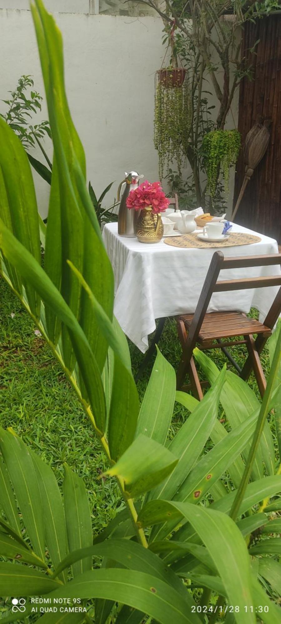 Bed and Breakfast Quinta Rosita Тикуль Экстерьер фото