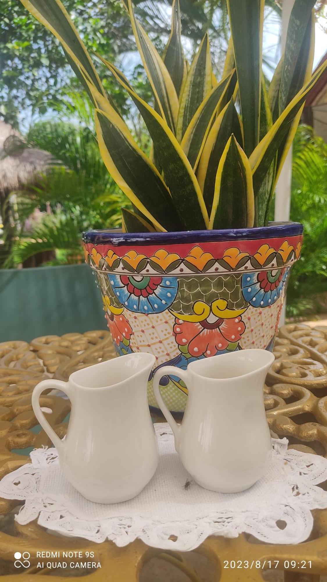 Bed and Breakfast Quinta Rosita Тикуль Экстерьер фото