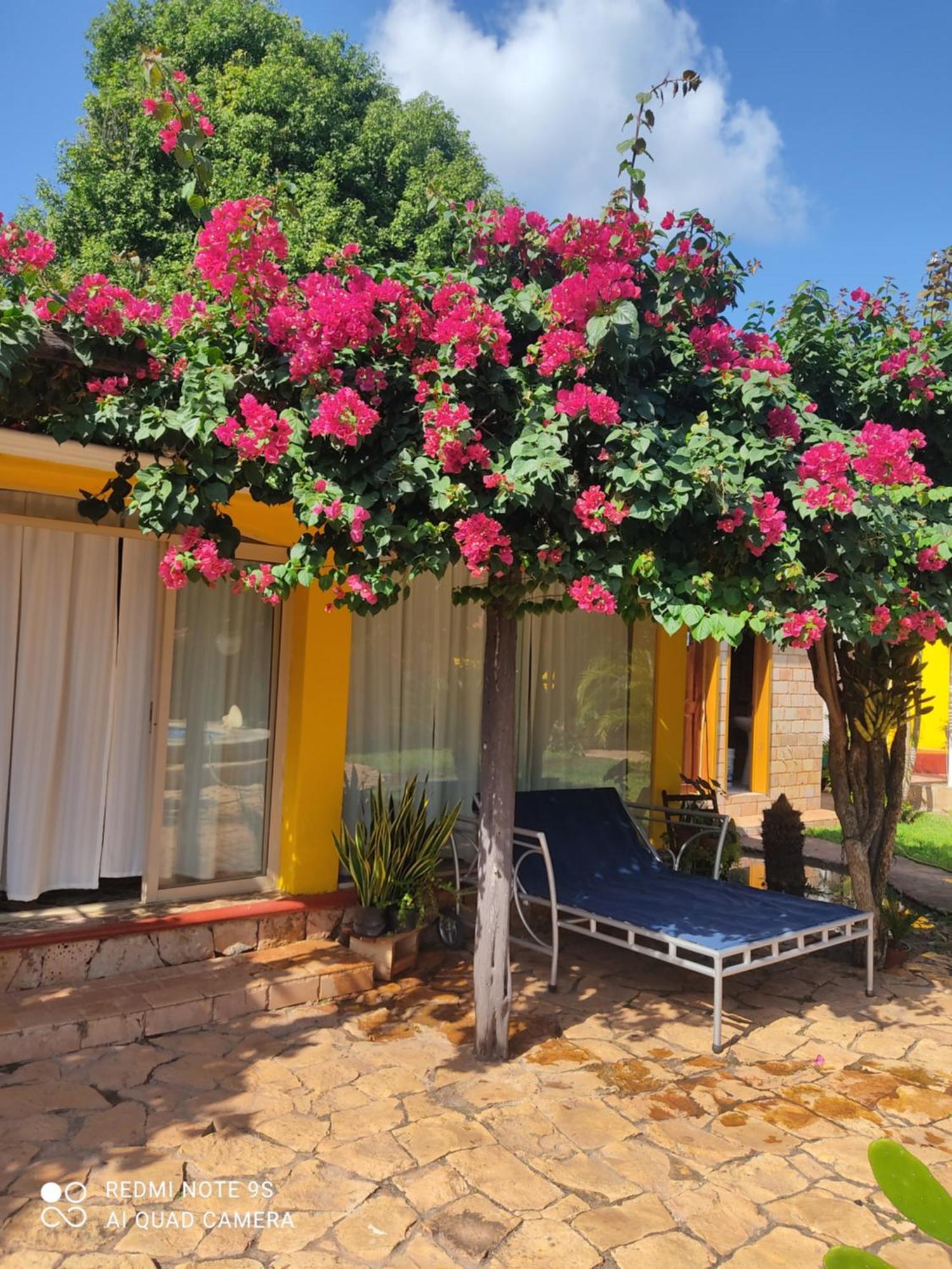 Bed and Breakfast Quinta Rosita Тикуль Экстерьер фото
