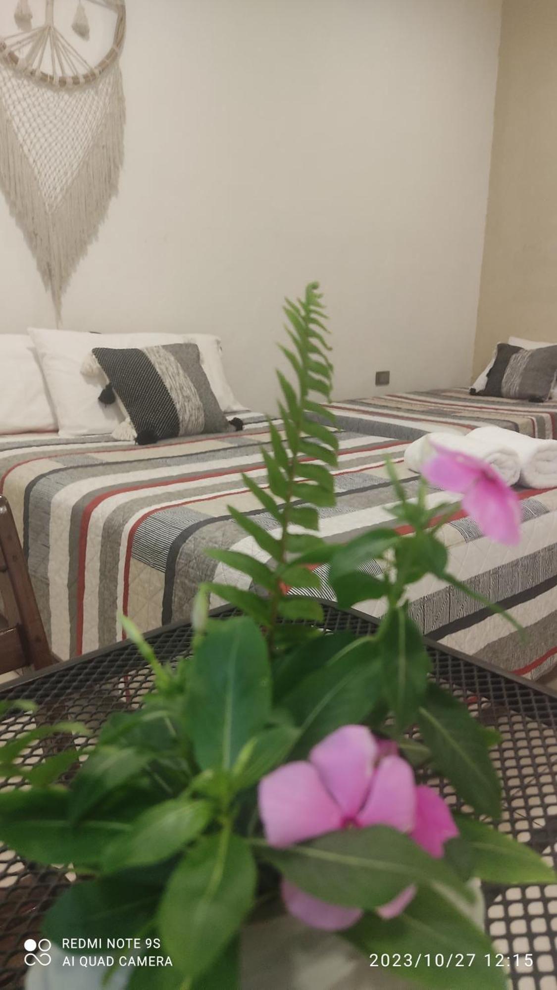Bed and Breakfast Quinta Rosita Тикуль Экстерьер фото