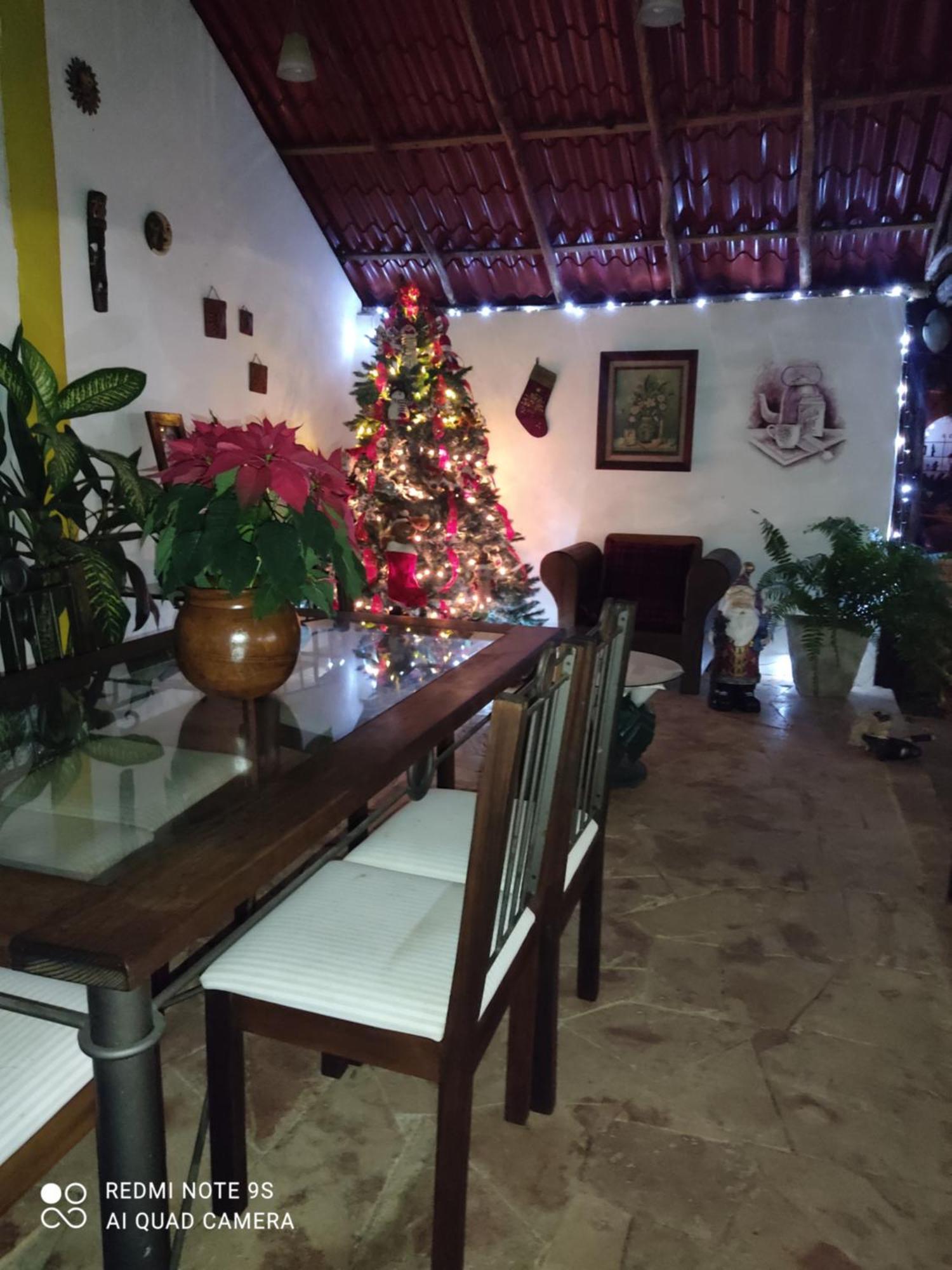 Bed and Breakfast Quinta Rosita Тикуль Экстерьер фото
