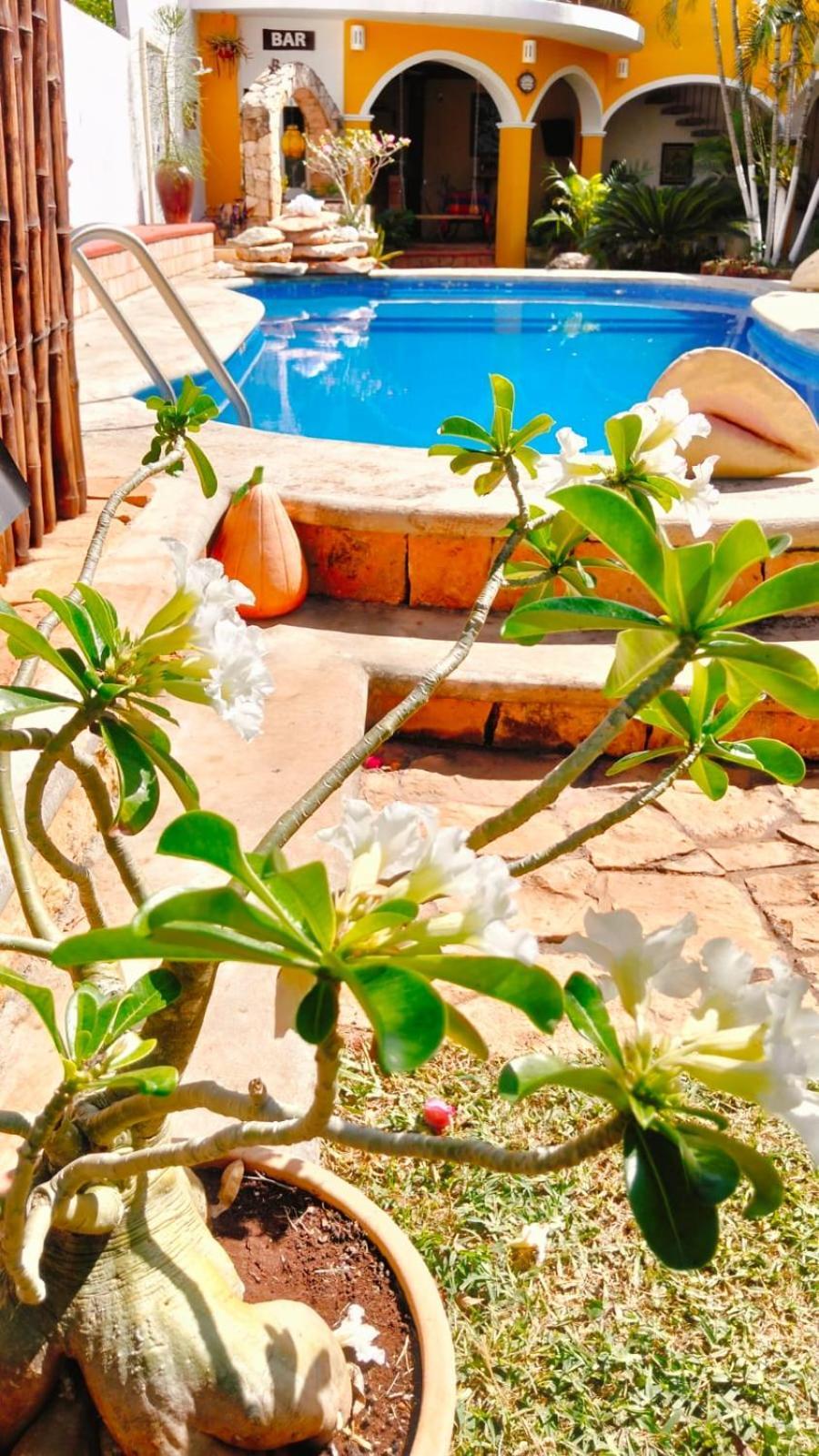 Bed and Breakfast Quinta Rosita Тикуль Экстерьер фото