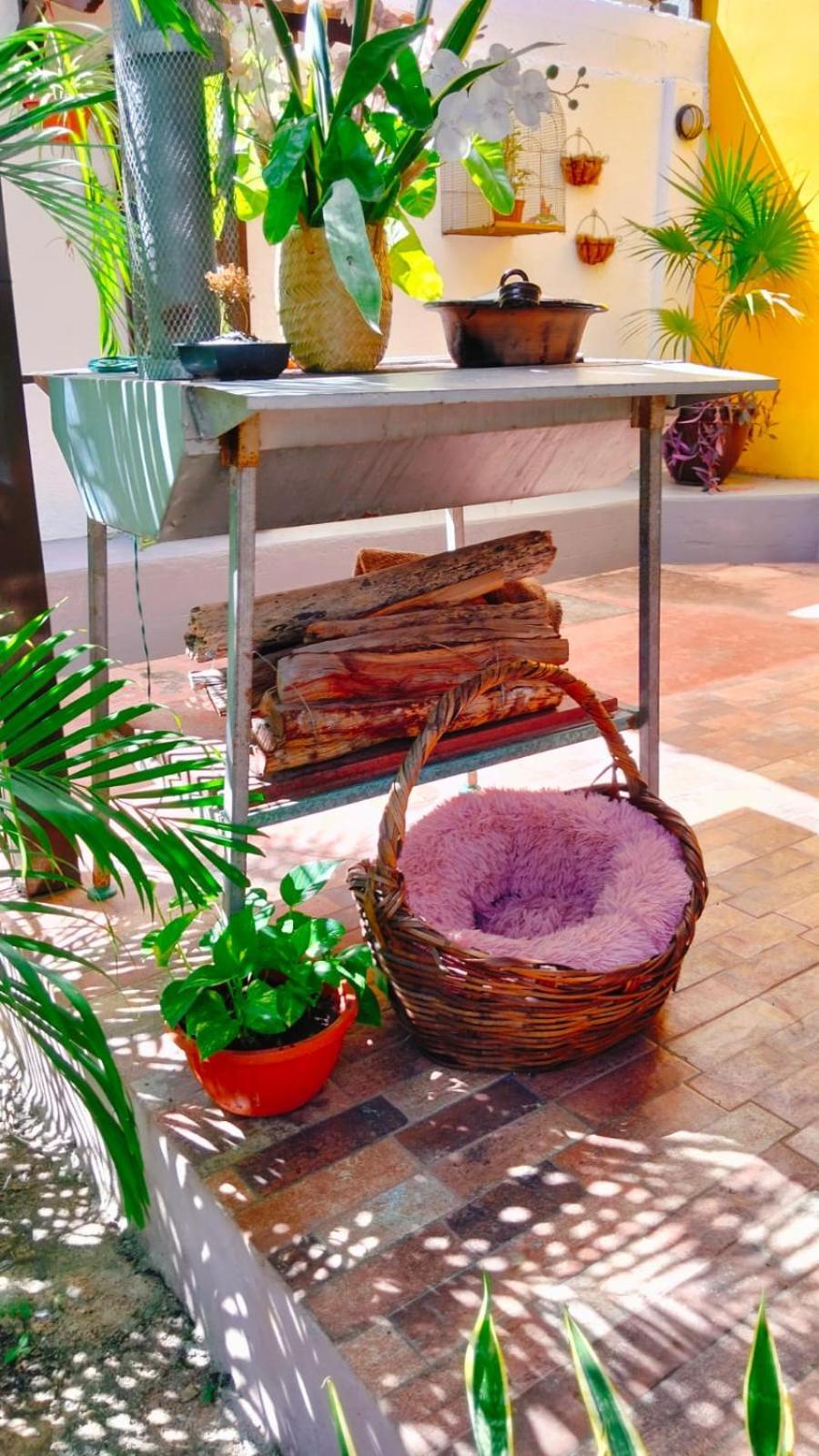 Bed and Breakfast Quinta Rosita Тикуль Экстерьер фото