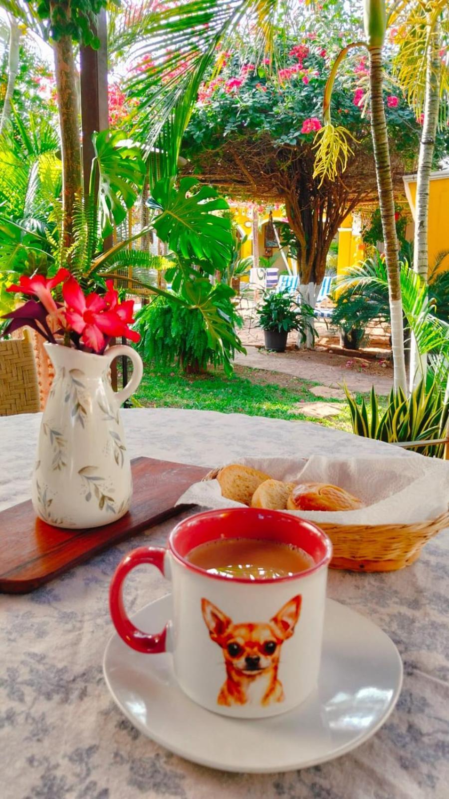 Bed and Breakfast Quinta Rosita Тикуль Экстерьер фото
