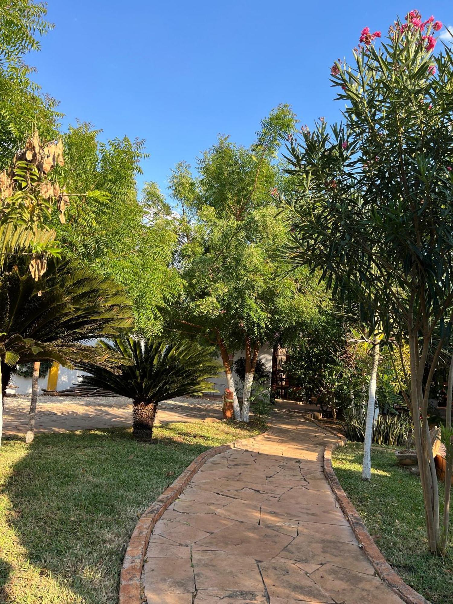 Bed and Breakfast Quinta Rosita Тикуль Экстерьер фото